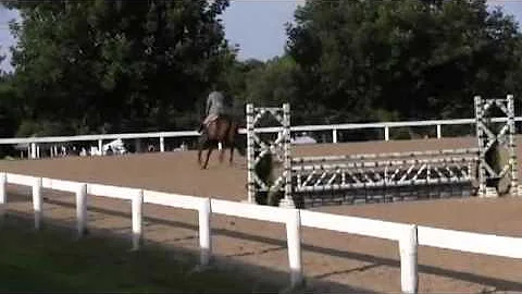 Video of REIGNING WONDER ridden by AMY HASKINS fro...