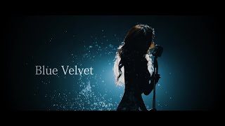 工藤静香 / Blue Velvet［Official Videoティザー］From 『感受』Shizuka Kudo 35th Anniversary self-cover