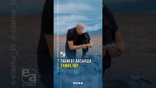 🏞️Табиғат Аясында Тамақ Ішу