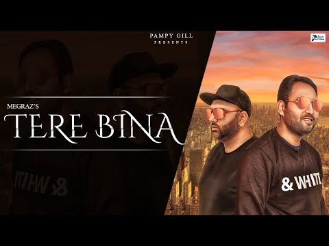 Tere Bina Feat. Megraz New Punjabi Song 2019