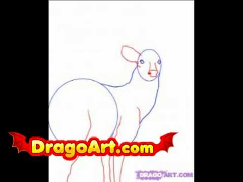 How to draw a deer, step by step - YouTube