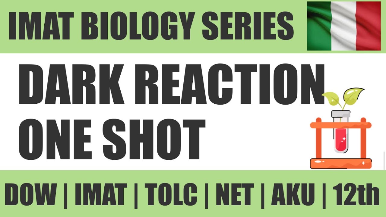 DARK REACTION ONE SHOT | PHOTOSYNTHESES | IMAT | CHAP# BIOENERGETICS ...