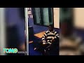 Teacher's aide nahuling nananakit ng special needs student sa California — TomoNews