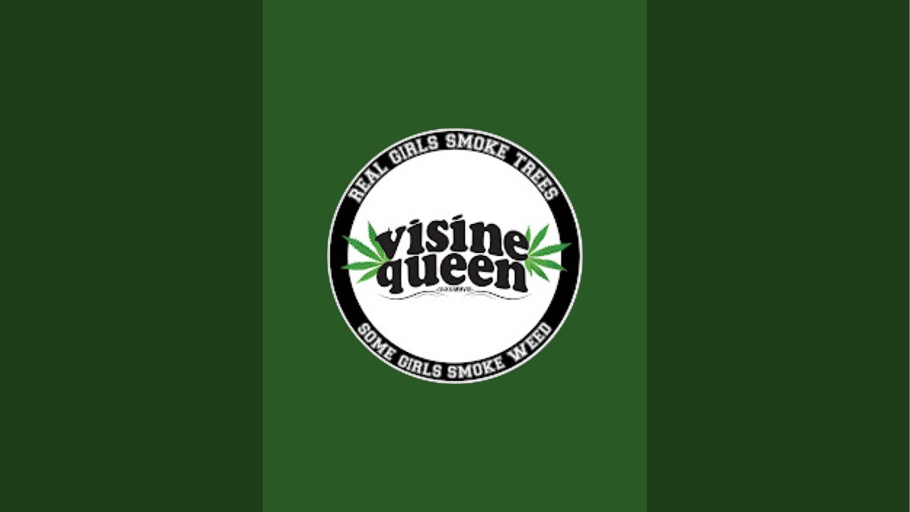 Birds in the feeder in the Snowstorm #birdfeeder #nature