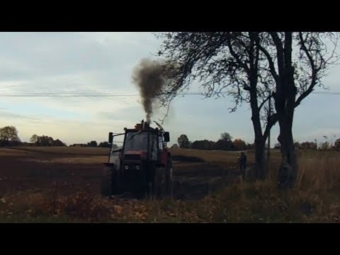 Wideo: Do czego służy gnojowica?