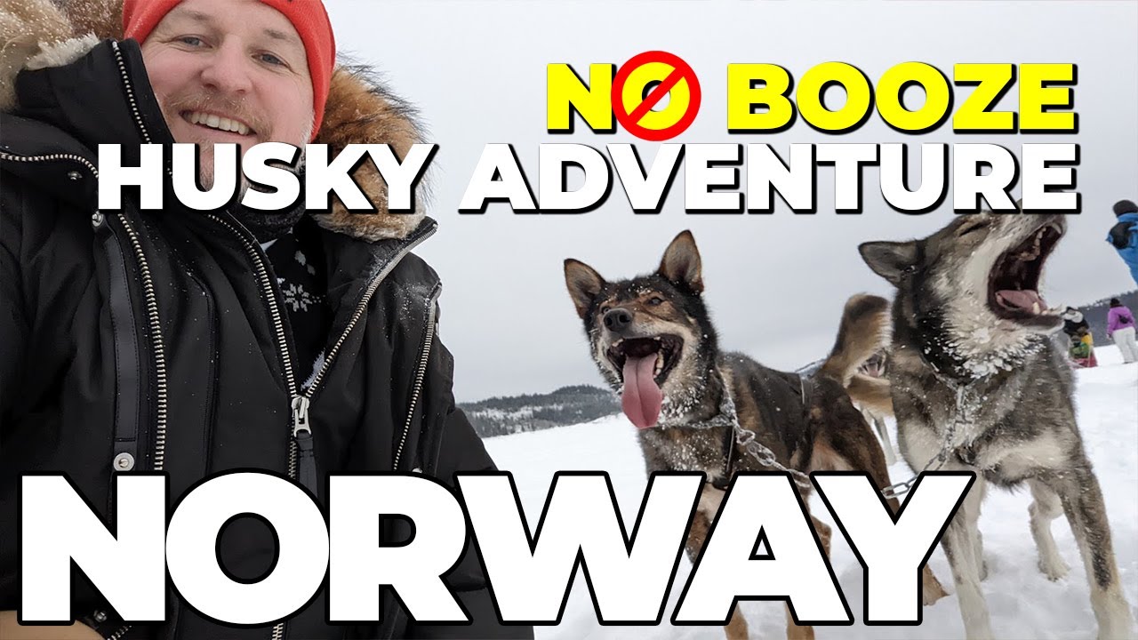 A NORWAY Husky Adventure That Took An UNEXPECTED Turn.