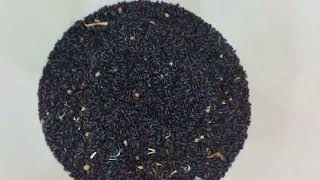 New Technique to separate dead beetles How To Remove Dead Mealworm Beetles