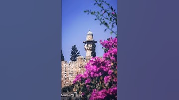 اسمع الخشوع من سوره النحل بصوت الشيخ محمد صديق #المنشاوي #قرآن