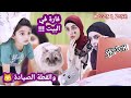 سكتش كوميدي فارة في البيت والقطة الصيادة حسين و زينب Mouse In The House Hussein And Zeinab 