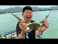 小六海釣連上2條黑鯛魚，青妹妹釣到大花蟹不甘落後，又有口福了