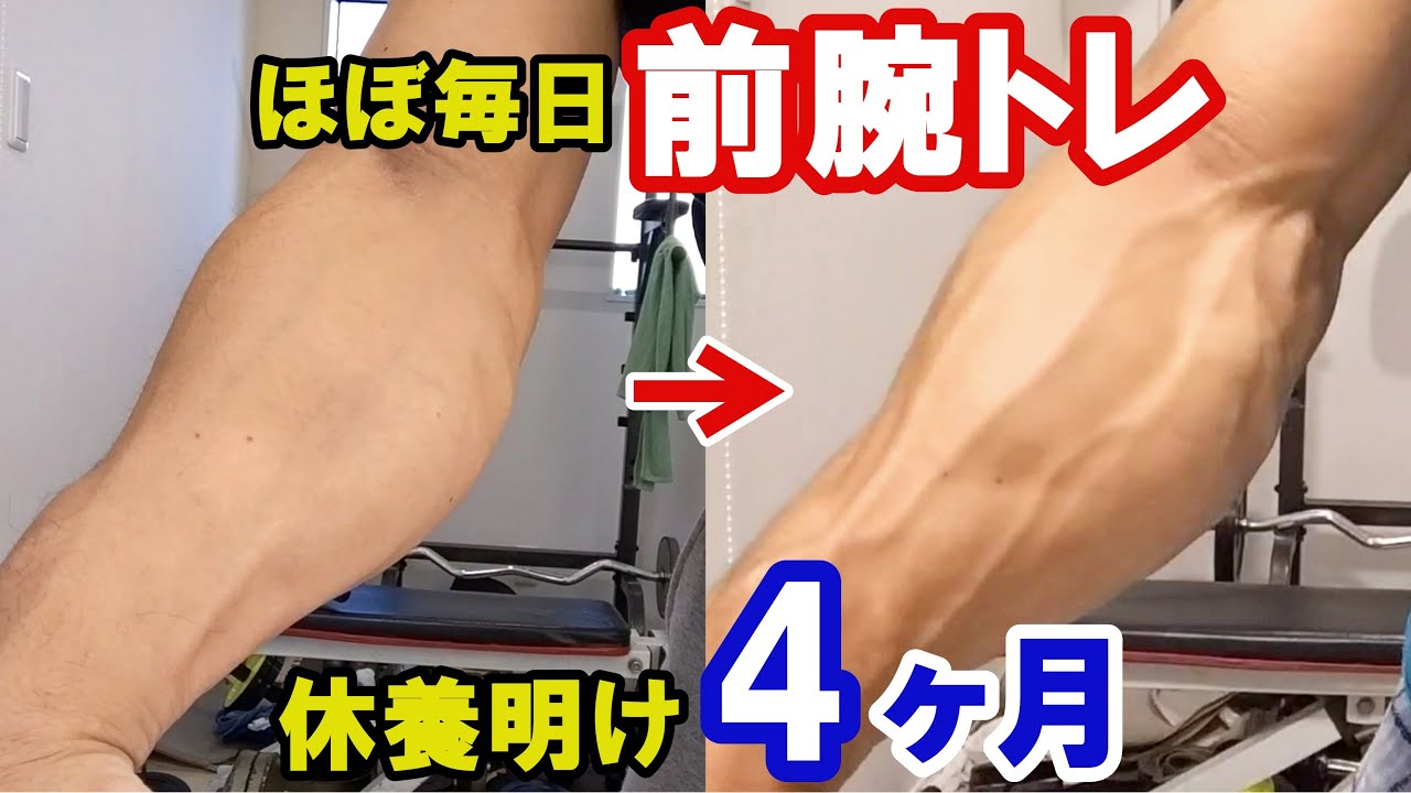リストカール】前腕トレを4ヶ月ほぼ毎日やった結果【リバースリスト