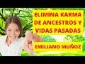 ELIMINA EL KARMA 🔥🌞 de Vidas Pasadas y Ancestros 👴 Grigori Grabovoi y Emiliano Muñoz 👨‍🏫