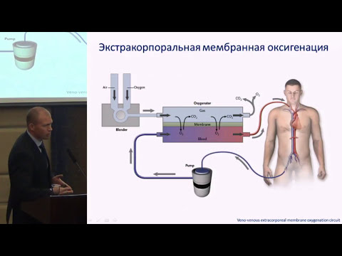 Авдеев С.Н. Тяжелая пневмония | Тяжелая внебольничная пневмония у взрослых