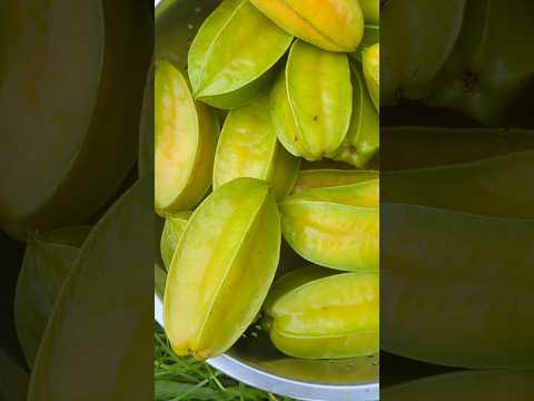 I thought the squirrels ate all my starfruit but I was so wrong ‼️