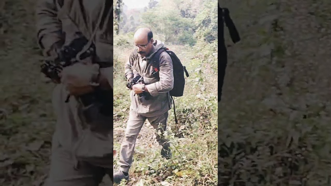 വനത്തിൽ എത്തുന്നതിനുമുമ്പ് എന്തുണ്ടായി?What happened before reaching the forest?