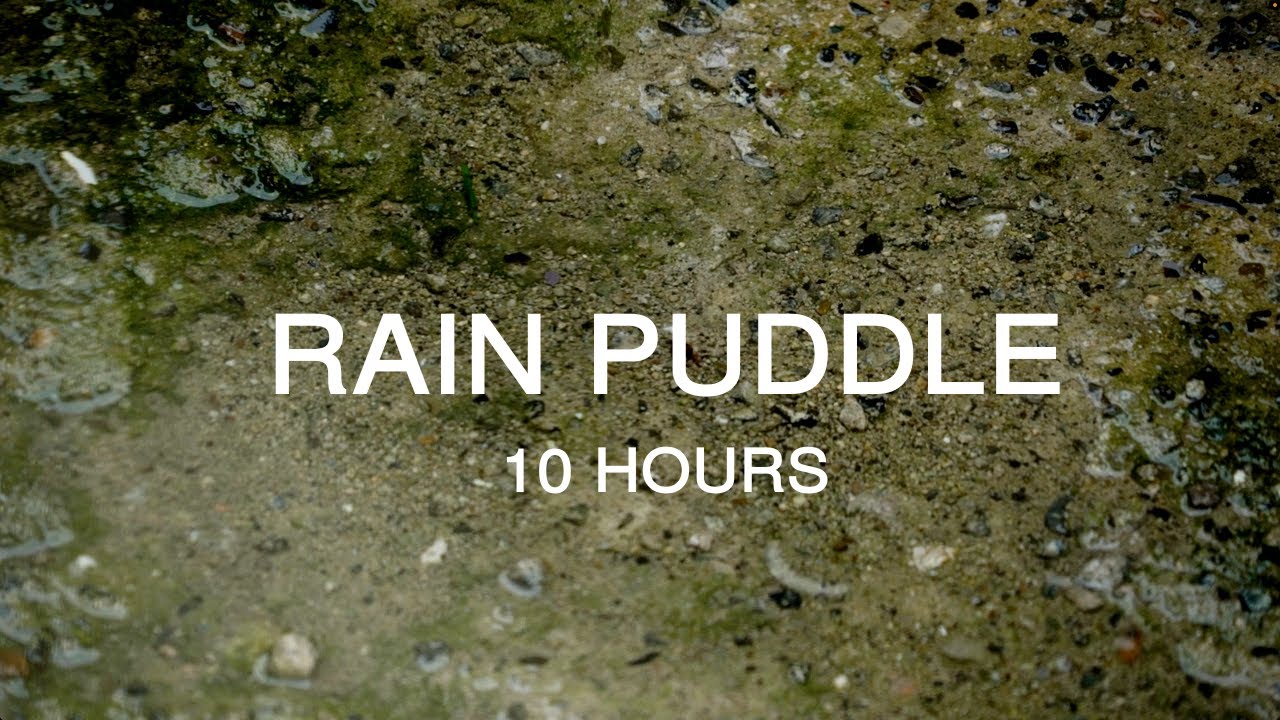 10 Hours of Relaxing Rain Sounds for Sleep | Study | Meditation ...