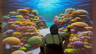 Coral Reef Wall Interactive Display Floor Or Wall Projector Game From Lumoplay