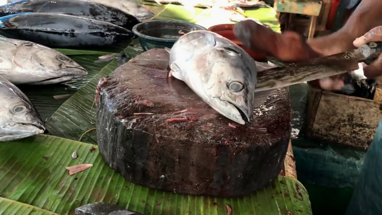 Amazing show From Tuna Fish Cutting Skill. Skill To Cutting Fish