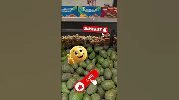 Avocat Marocain à Prix Choc En France Comparaison Avec Le Maroc الجالية المغربية 