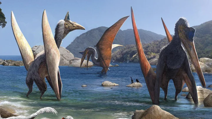 Quetzalcoatlus | The Largest Animal To Ever Fly In North America - DayDayNews