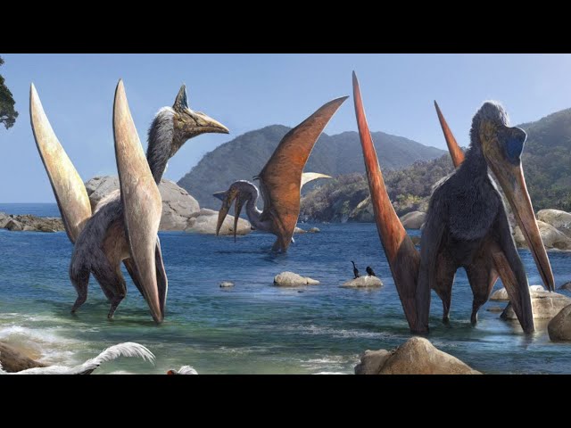 The winged giant that was bigger than T. Rex