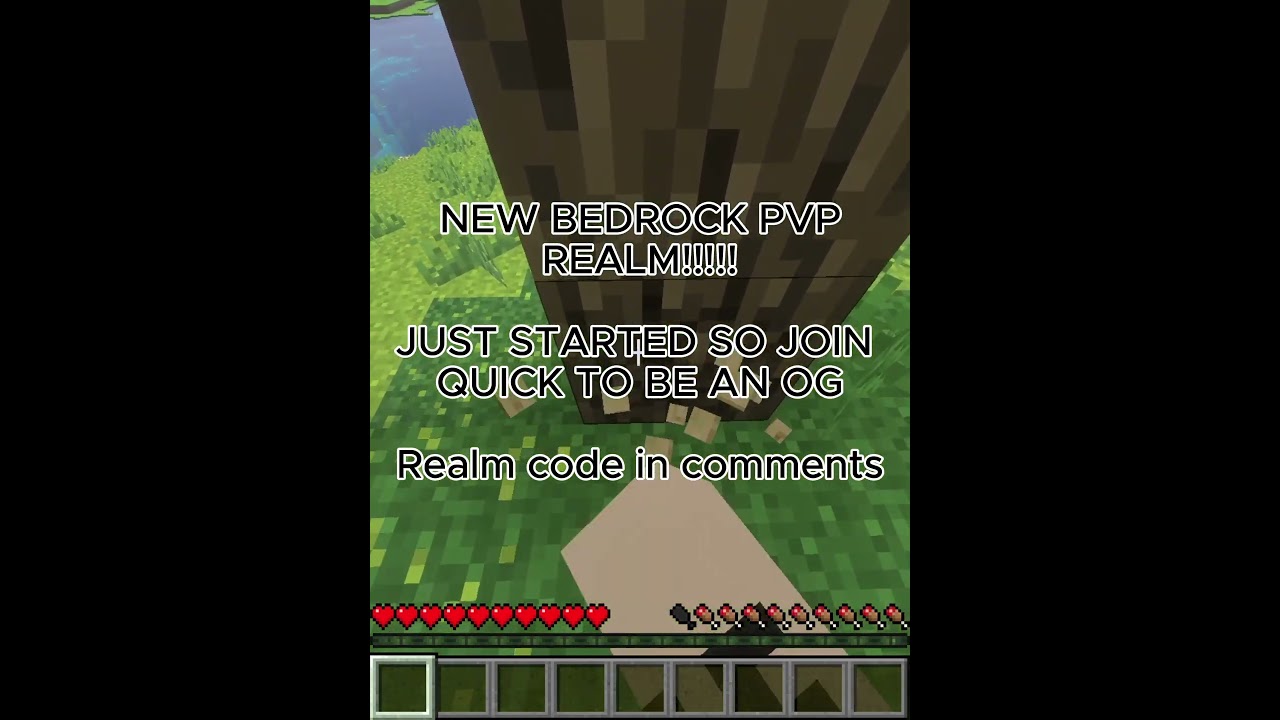 JOIN THE NEWEST BEDROCK PVP REALM 