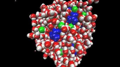 Molecular Dynamic simulation of 