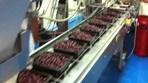 Paxon Packaging - Italian Pack Srl Complete auto line MAP tray sealer for olives with spices