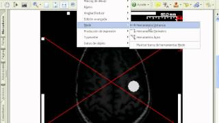 NeuroSIM