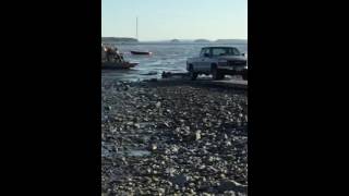 Clam Digging in MAINE