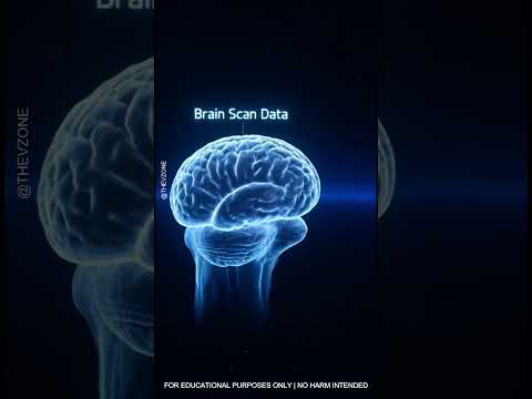 মানব মস্তিষ্কের অবিশ্বাস্য ক্ষমতা | Power of Human Brain