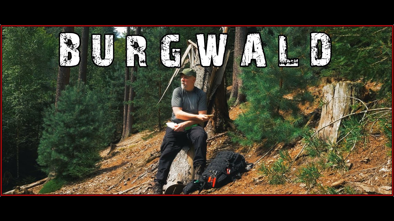 Entdecke die Magie - Wanderung durch den märchenhaften Burgwald / Wandern in Hessen