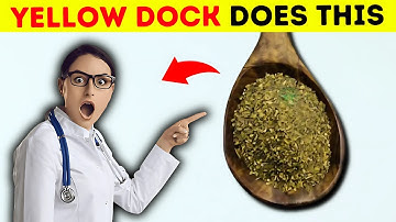 Top 5 Health Benefits of Yellow Dock Root You Should Know!