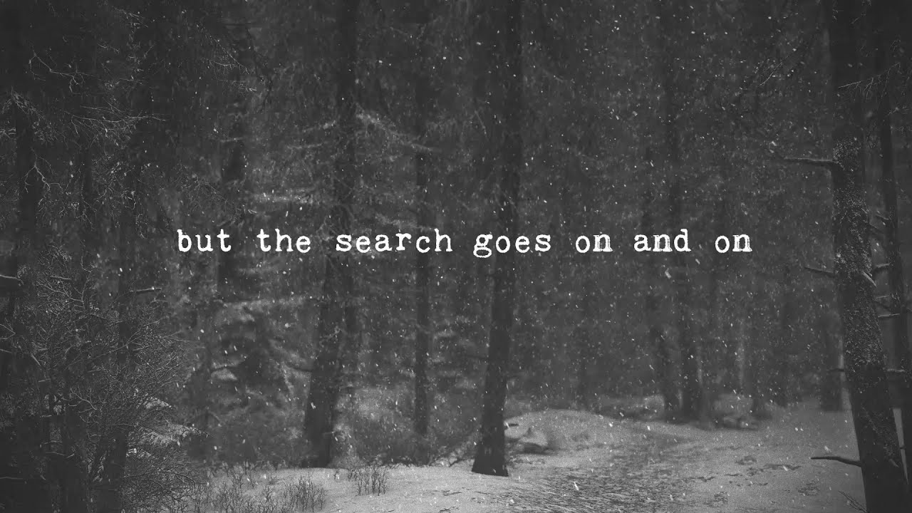 Red Ribbon Foxes - A Fine Frenzy (LYRIC VIDEO) (COVER)