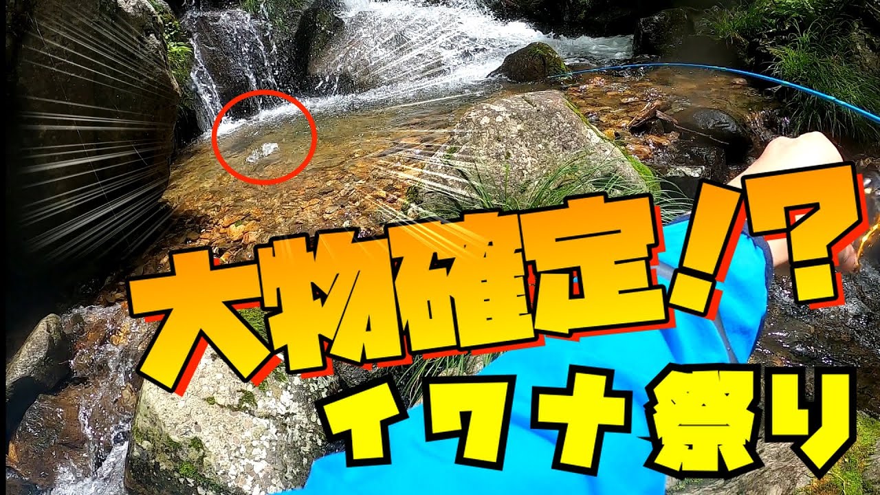 【渓流釣り】夏本番の庄川水系を攻めまくる! YouTube