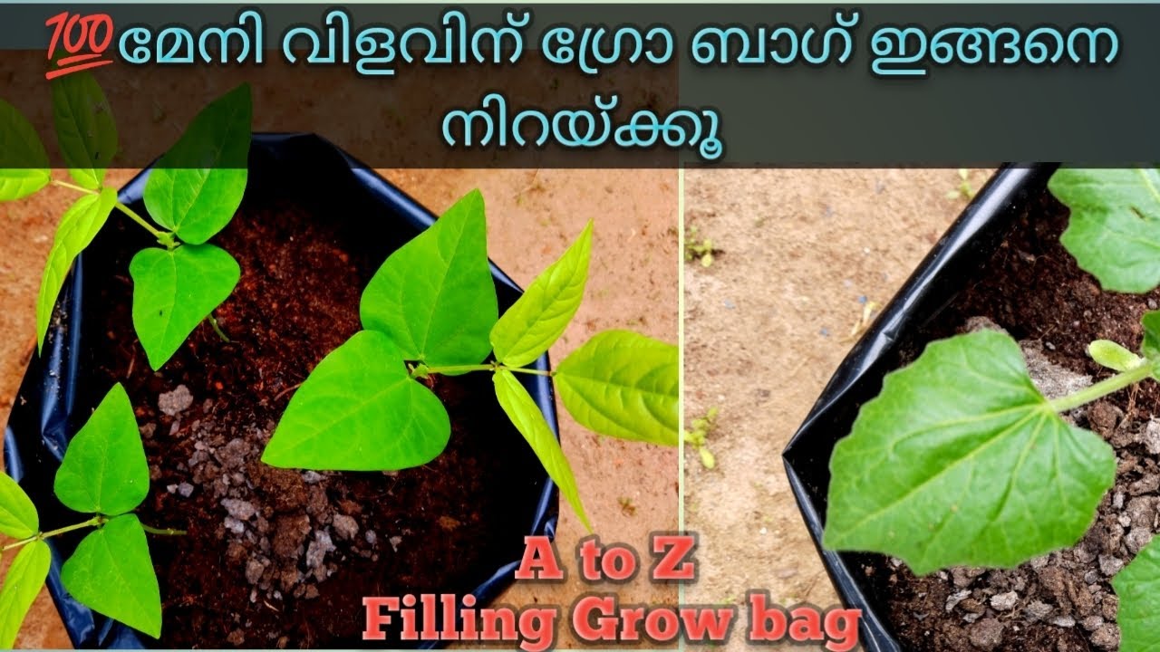 A to Z about filling Grow Bag Part 1 Organic farming Malayalam