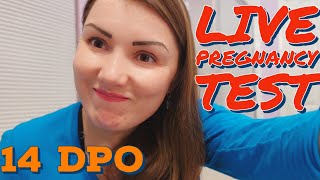 14 DPO Live Pregnancy Test//Cycle 3 coming to the end//My period is about to start//Is there hope?