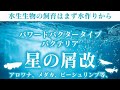 星の屑改(バクテリア)の使い方