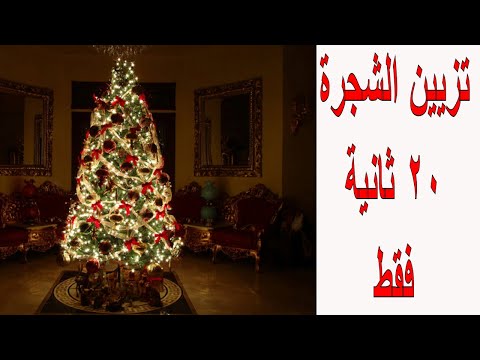 فيديو: الحياة الثانية لشجرة عيد الميلاد