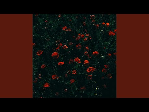 bloom (sped up)