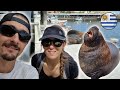 Notre voyage de pche en uruguay  vlog 15