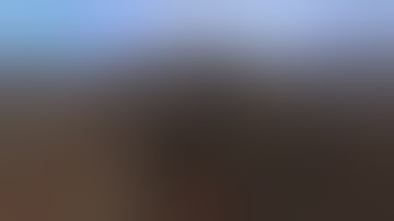 Best Non-Lethal Take down Fallout NV