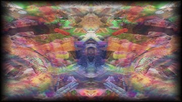 Building a VVVV patch