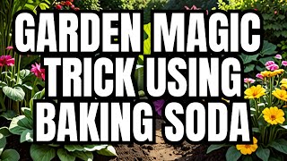What Happens When You Add Baking Soda to Your Garden?