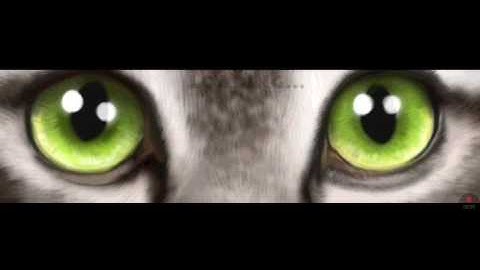 Ultimate Cat Simulator😅were is home? Ep 1