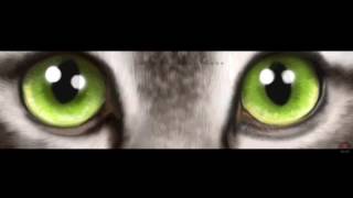 Ultimate Cat Simulator😅were is home? Ep 1