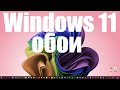 Вышли новые обои 4K для WIndows 11