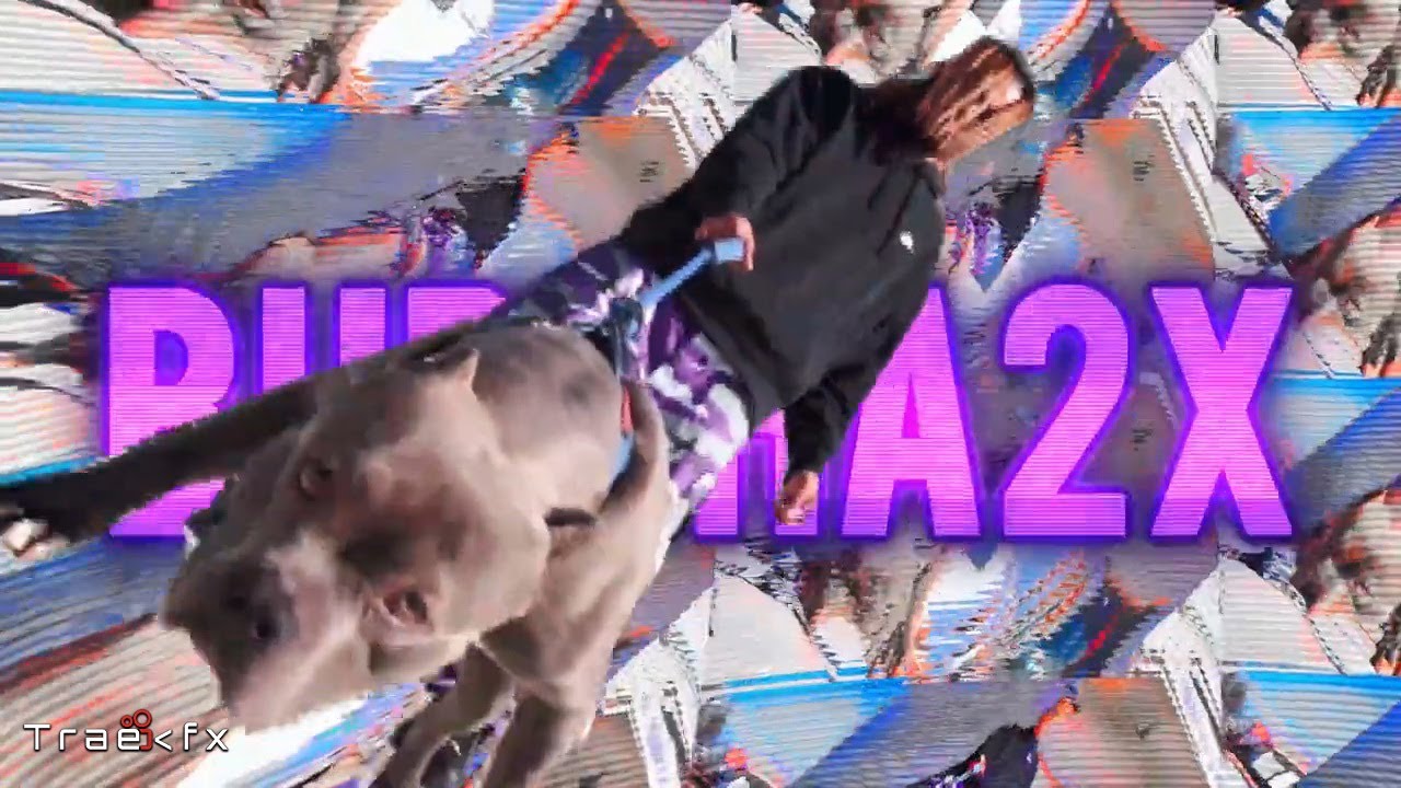 Buddha 2x X Donno - Blood Stains /EBK (Official Music Video)