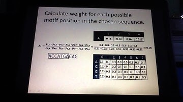 Gibbs sampling for motif detection (Part 3 of 4)