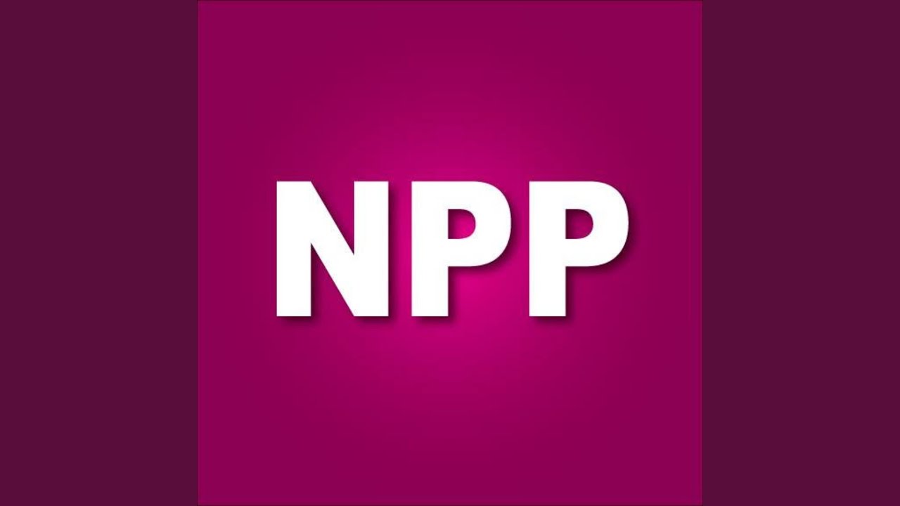 NPP THEME YouTube NPP THEME YouTube